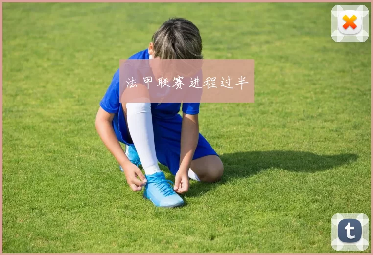 法甲联赛进程过半