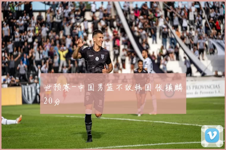 世预赛-中国男篮不敌韩国 张镇麟20分