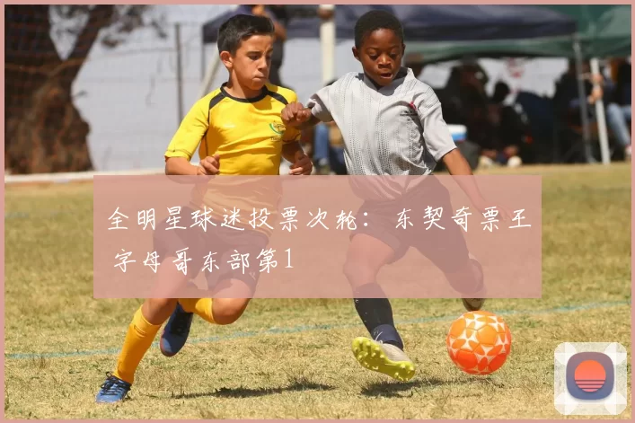 全明星球迷投票次轮：东契奇票王 字母哥东部第1
