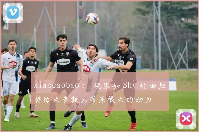 xiaocaobao ： 玩家如 Shy 的回归将给大多数人带来很大的动力