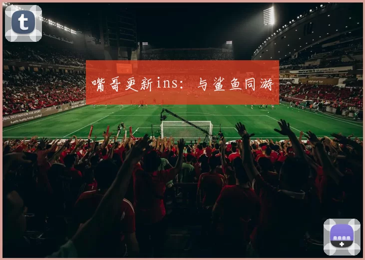 嘴哥更新ins：与鲨鱼同游