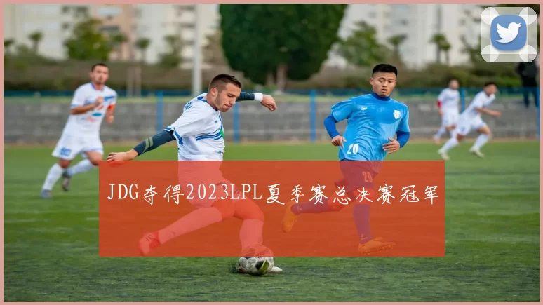 JDG夺得2023LPL夏季赛总决赛冠军