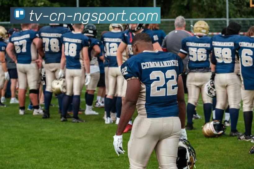 ng体育发展历程